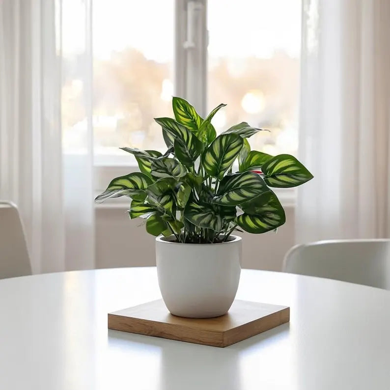 Small Artificial Bonsai